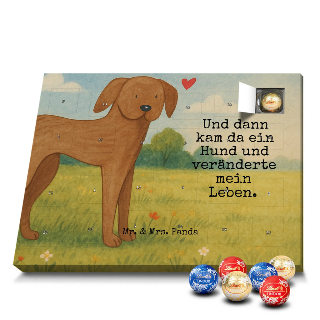 Chocolate advent calendar Dog mastiff Design dog breed, mutt, hound, woof, dog mama, love dogs, love for dogs, dog decorative items, bag with dog print, funny gifts for dog owners, what do you give a dog lover, Christmas gifts for dogs, gifts for dogs, dog sayings, Dogs