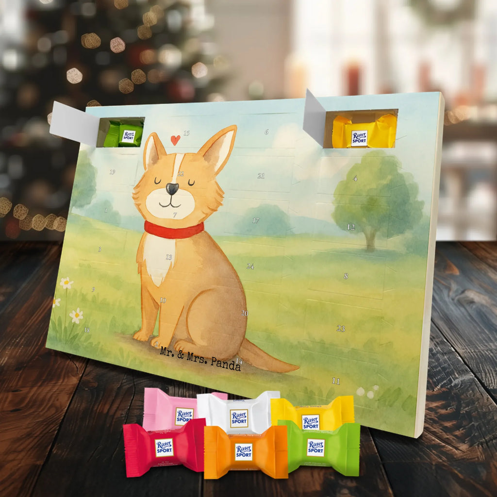 Chocolate advent calendar Dog Luck Design hound, dog sayings, gifts for dogs, Christmas gifts for dogs, what do you give a dog lover, funny gifts for dog owners, bag with dog print, dog decorative items, love for dogs, dog breed, love dogs, dog mama, mutt, woof, dog owner, dog mom, dog love