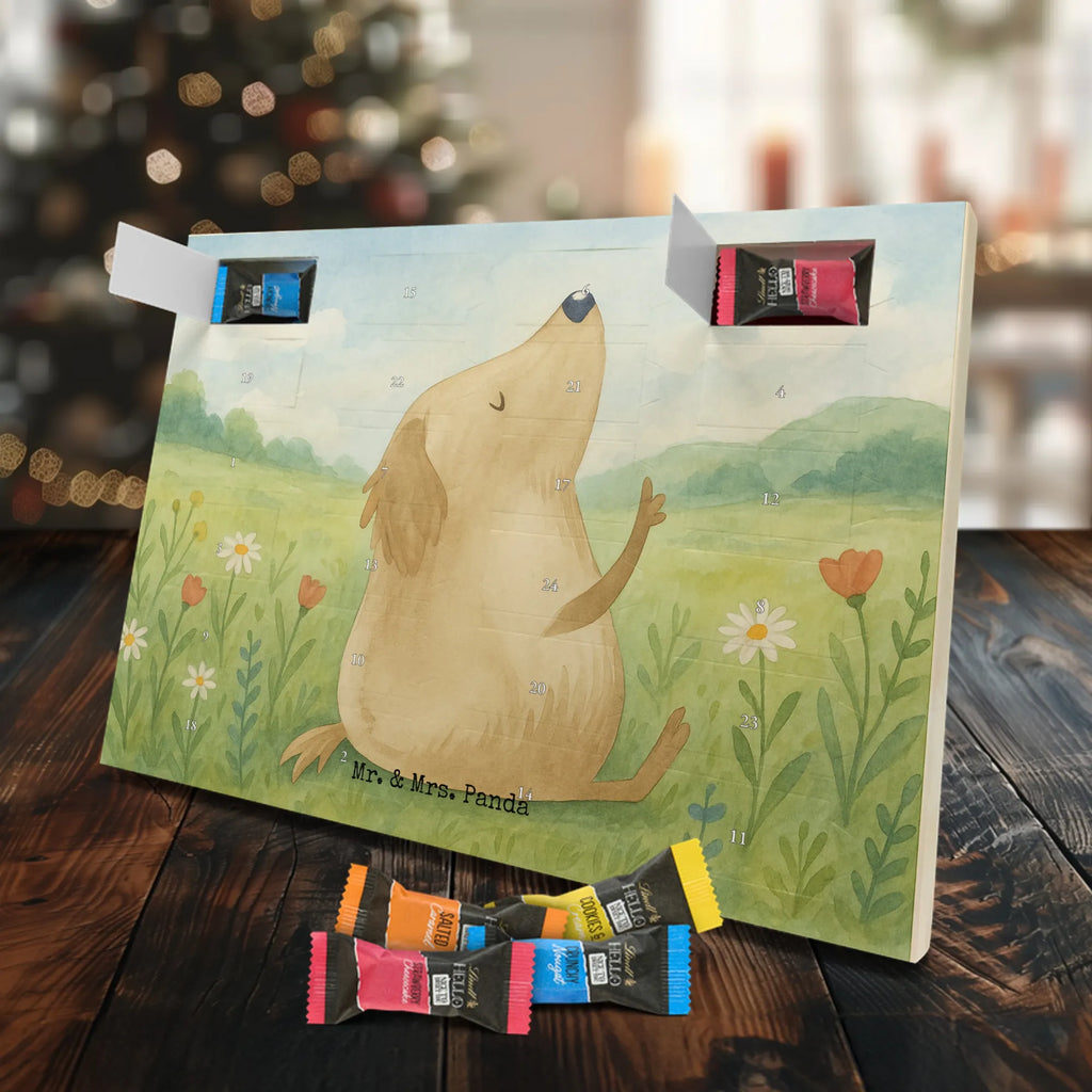  Pies miłość Design Pies, rasa psa, właściciel psa, miłośnik zwierząt, motyw psa, zwierzę domowe, powiedzenia