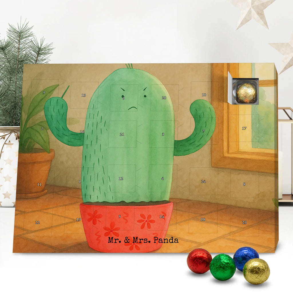 Chocolate advent calendar cactus Fury Design cactus, cactuses, plants, cactus plant, small green cactus, school, annoy, office life, colleague, angry