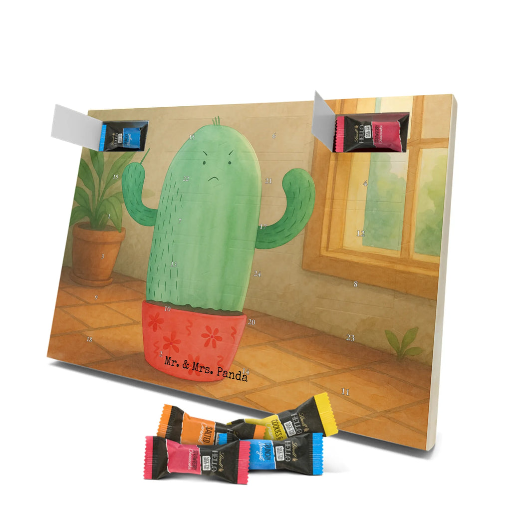 Chocolate advent calendar cactus Fury Design cactus, cactuses, plants, cactus plant, small green cactus, school, annoy, office life, colleague, angry