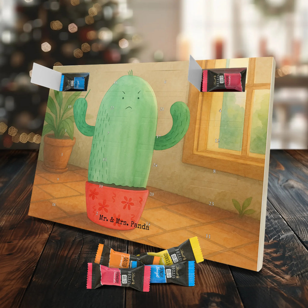 Chocolate advent calendar cactus Fury Design cactus, cactuses, plants, cactus plant, small green cactus, school, annoy, office life, colleague, angry