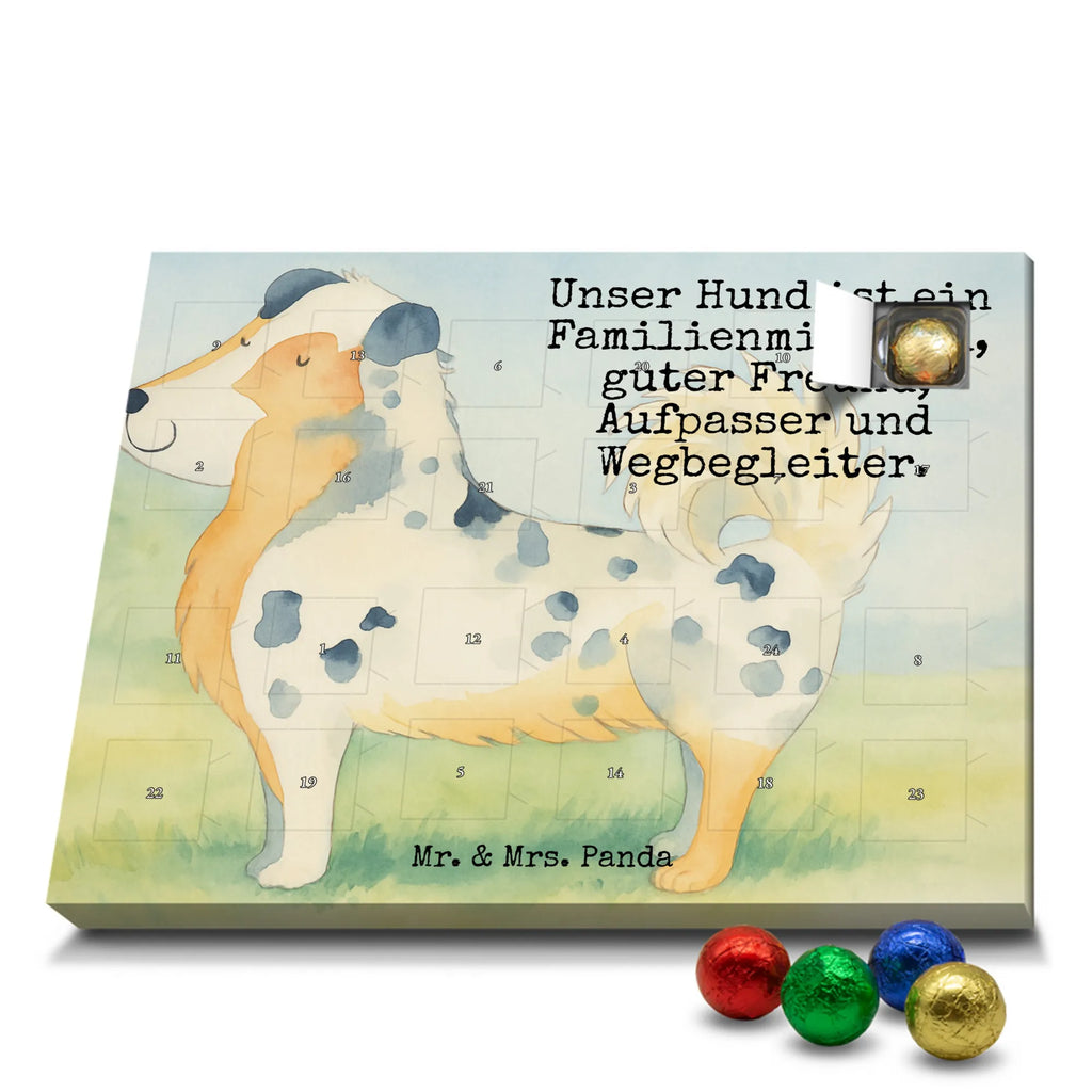 Chocolate advent calendar Dog Australia Shepherd Design hound, dog sayings, gifts for dogs, Christmas gifts for dogs, what do you give a dog lover, funny gifts for dog owners, bag with dog print, dog decorative items, love for dogs, dog breed, love dogs, dog mama, mutt, woof, Family dog, Saying, Sayings, Australia Shepherd, Dog love