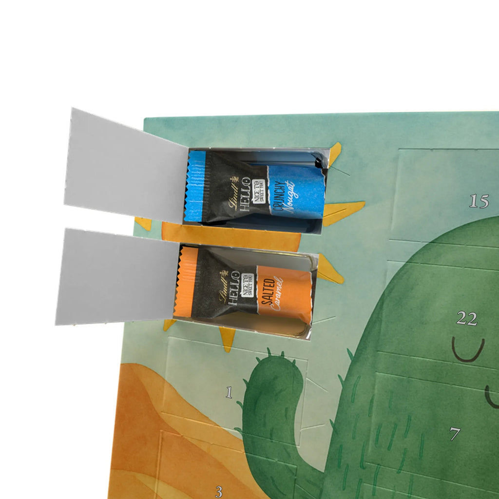 Chocolate advent calendar cactus Sun Design cactus, cactuses, plants, cactus plant, small green cactus, new start, divorce, separation, lovesickness, lovesickness gift, love cactus love, gift idea, adultery, sun, girlfriend