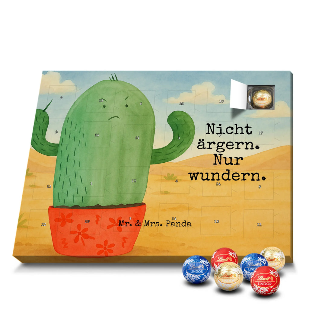 Chocolate advent calendar cactus Fury Design cactus, cactuses, plants, cactus plant, small green cactus, school, annoy, office life, colleague, angry