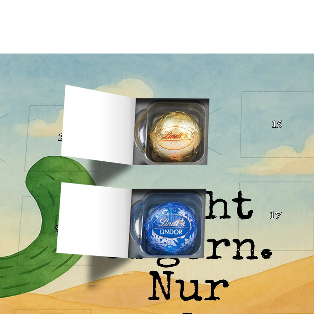 Chocolate advent calendar cactus Fury Design cactus, cactuses, plants, cactus plant, small green cactus, school, annoy, office life, colleague, angry