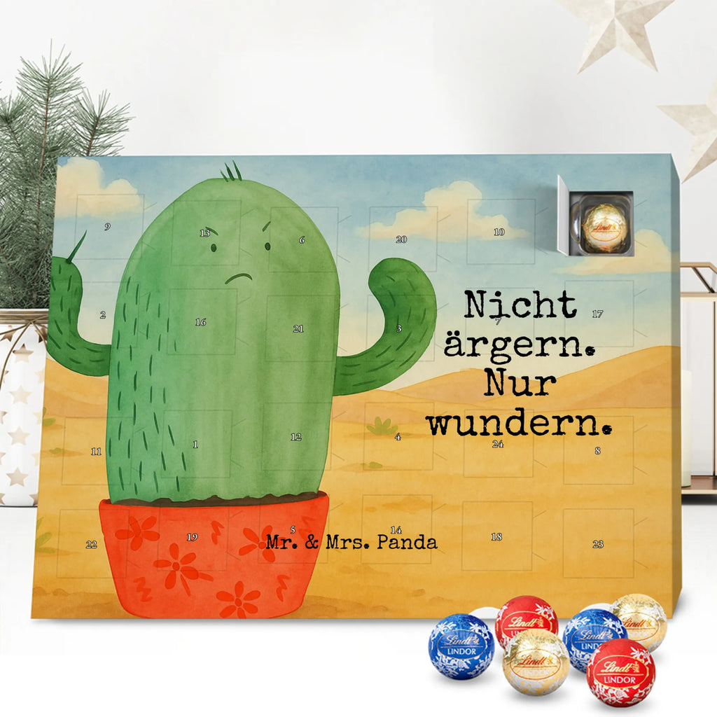 Chocolate advent calendar cactus Fury Design cactus, cactuses, plants, cactus plant, small green cactus, school, annoy, office life, colleague, angry