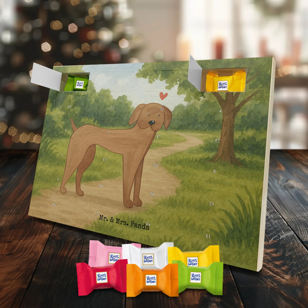 Chocolate advent calendar Dog mastiff Design dog breed, mutt, hound, woof, dog mama, love dogs, love for dogs, dog decorative items, bag with dog print, funny gifts for dog owners, what do you give a dog lover, Christmas gifts for dogs, gifts for dogs, dog sayings, Dogs