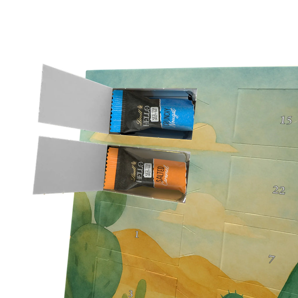 Chocolate advent calendar cactus Sun Design cactus, cactuses, plants, cactus plant, small green cactus, new start, divorce, separation, lovesickness, lovesickness gift, love cactus love, gift idea, adultery, sun, girlfriend