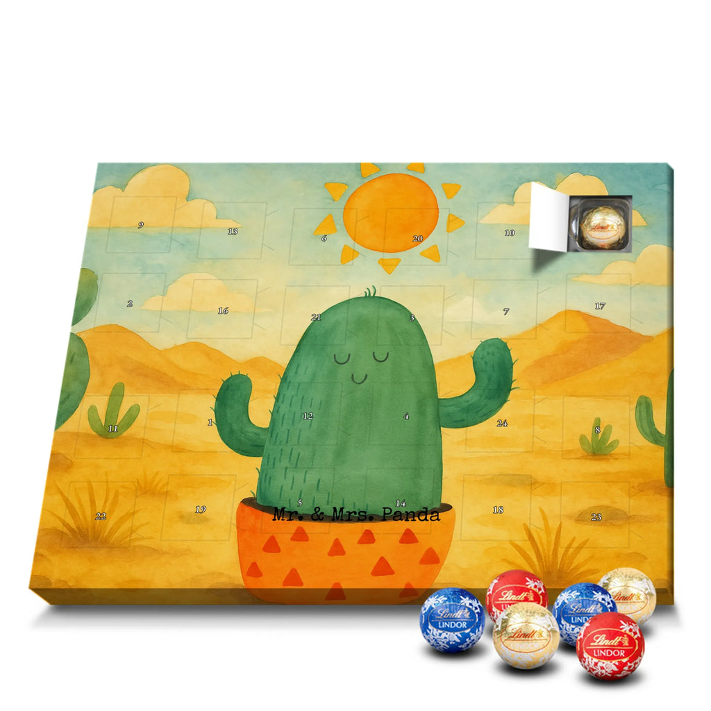 Chocolate advent calendar cactus Sun Design cactus, cactuses, plants, cactus plant, small green cactus, new start, divorce, separation, lovesickness, lovesickness gift, love cactus love, gift idea, adultery, sun, girlfriend