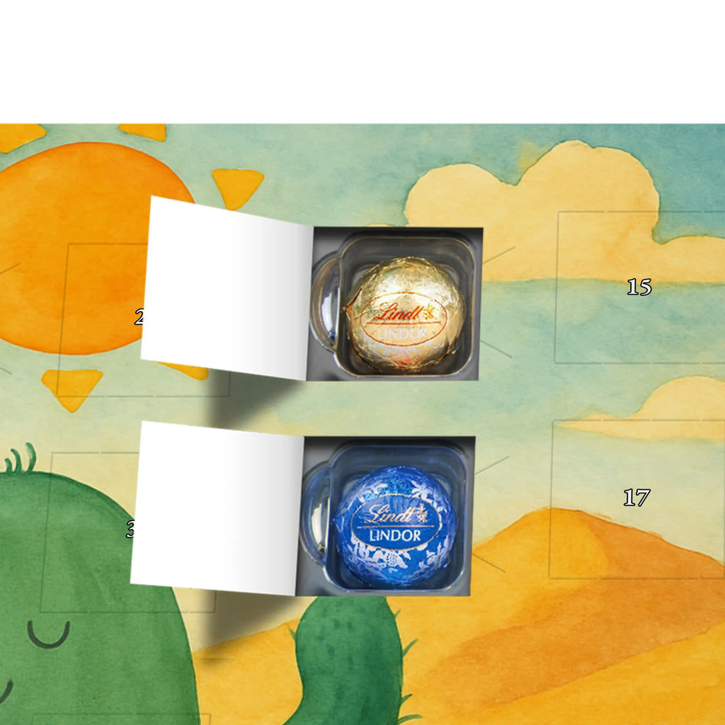 Chocolate advent calendar cactus Sun Design cactus, cactuses, plants, cactus plant, small green cactus, new start, divorce, separation, lovesickness, lovesickness gift, love cactus love, gift idea, adultery, sun, girlfriend