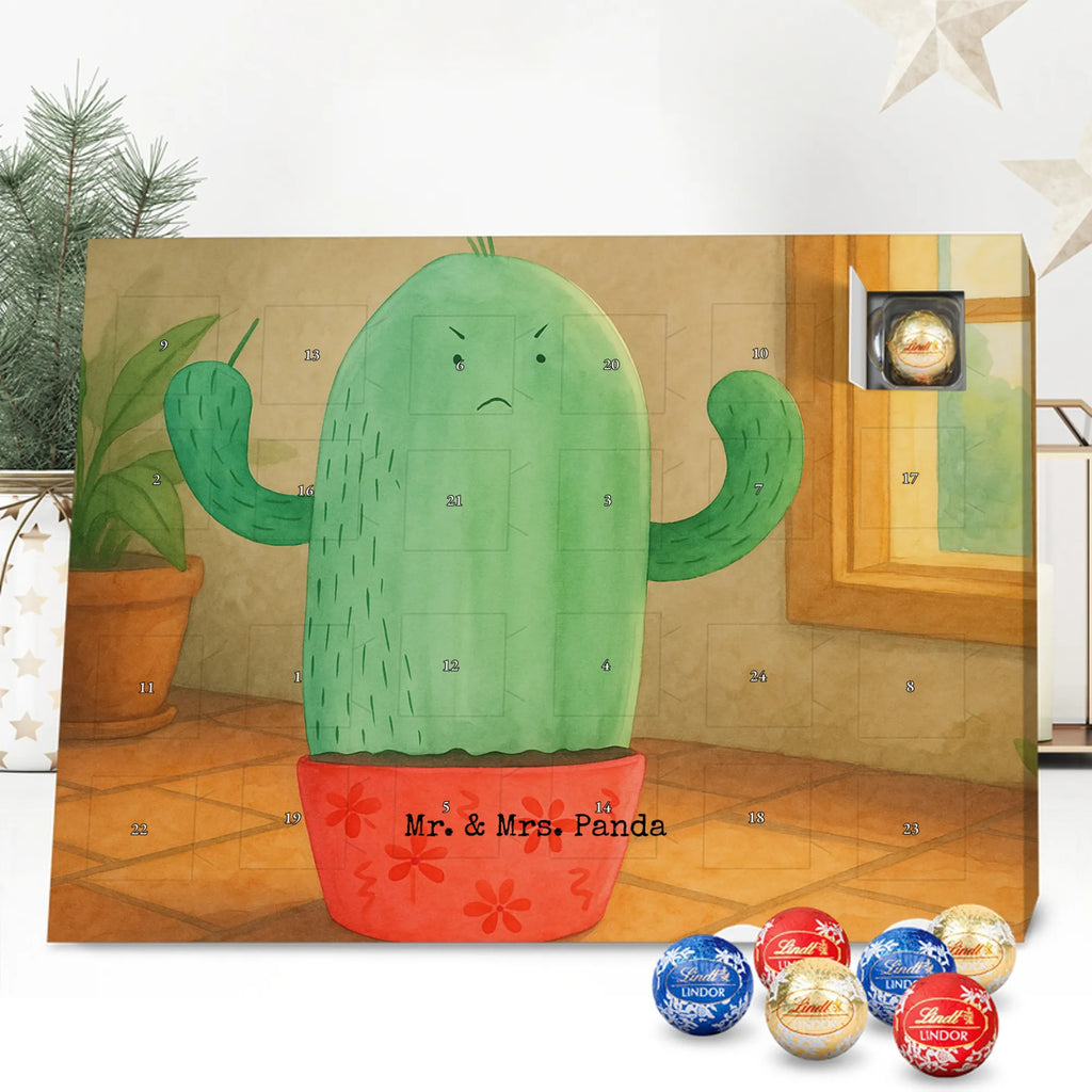 Chocolate advent calendar cactus Fury Design cactus, cactuses, plants, cactus plant, small green cactus, school, annoy, office life, colleague, angry