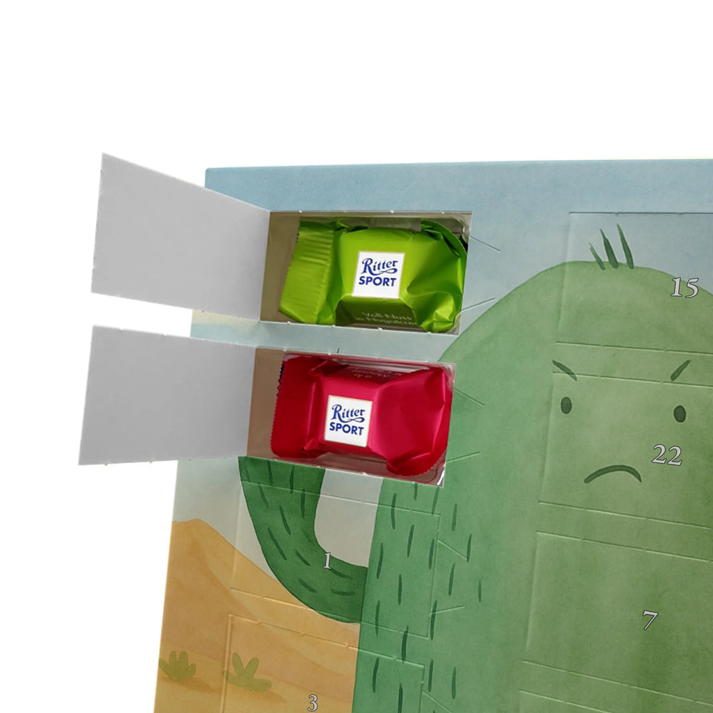 Chocolate advent calendar cactus Fury Design cactus, cactuses, plants, cactus plant, small green cactus, school, annoy, office life, colleague, angry