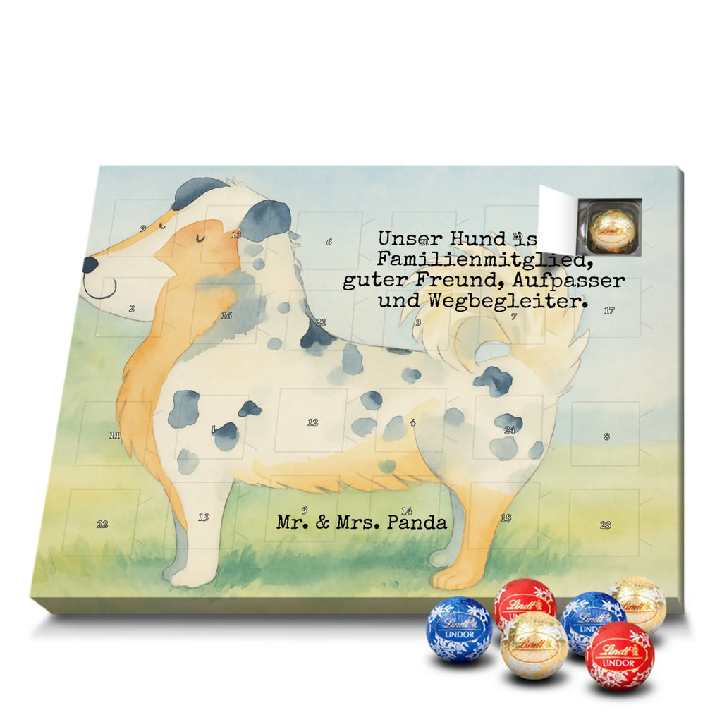 Chocolate advent calendar Dog Australia Shepherd Design hound, dog sayings, gifts for dogs, Christmas gifts for dogs, what do you give a dog lover, funny gifts for dog owners, bag with dog print, dog decorative items, love for dogs, dog breed, love dogs, dog mama, mutt, woof, Family dog, Saying, Sayings, Australia Shepherd, Dog love