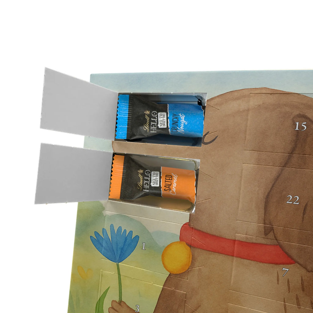 Chocolate advent calendar Dog flower Design dog breed, mutt, hound, woof, dog mama, love dogs, love for dogs, dog decorative items, bag with dog print, funny gifts for dog owners, what do you give a dog lover, Christmas gifts for dogs, gifts for dogs, dog sayings, dog lover, dogs, mistress, dog owners