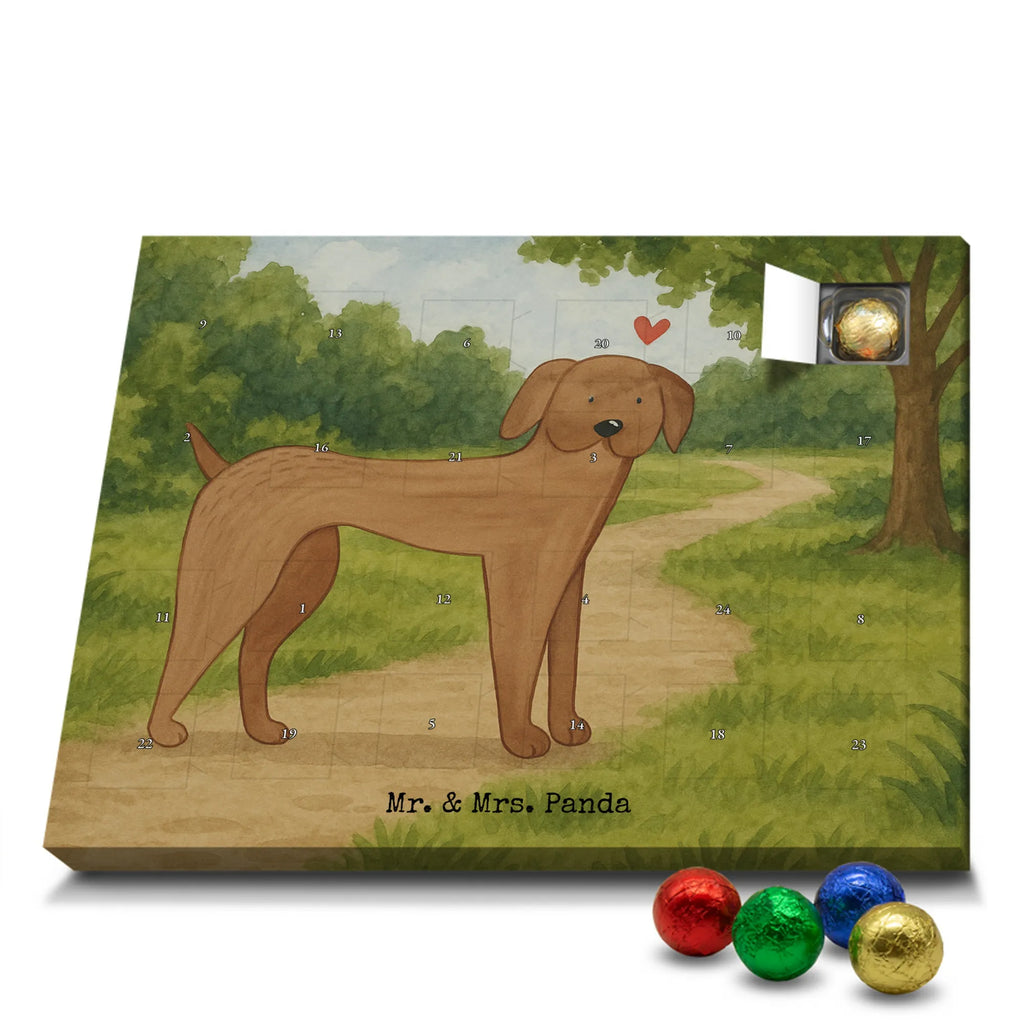 Chocolate advent calendar Dog mastiff Design dog breed, mutt, hound, woof, dog mama, love dogs, love for dogs, dog decorative items, bag with dog print, funny gifts for dog owners, what do you give a dog lover, Christmas gifts for dogs, gifts for dogs, dog sayings, Dogs