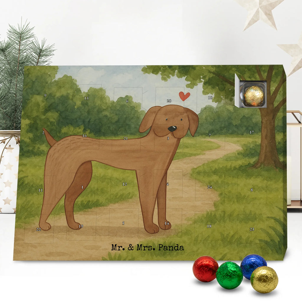 Chocolate advent calendar Dog mastiff Design dog breed, mutt, hound, woof, dog mama, love dogs, love for dogs, dog decorative items, bag with dog print, funny gifts for dog owners, what do you give a dog lover, Christmas gifts for dogs, gifts for dogs, dog sayings, Dogs