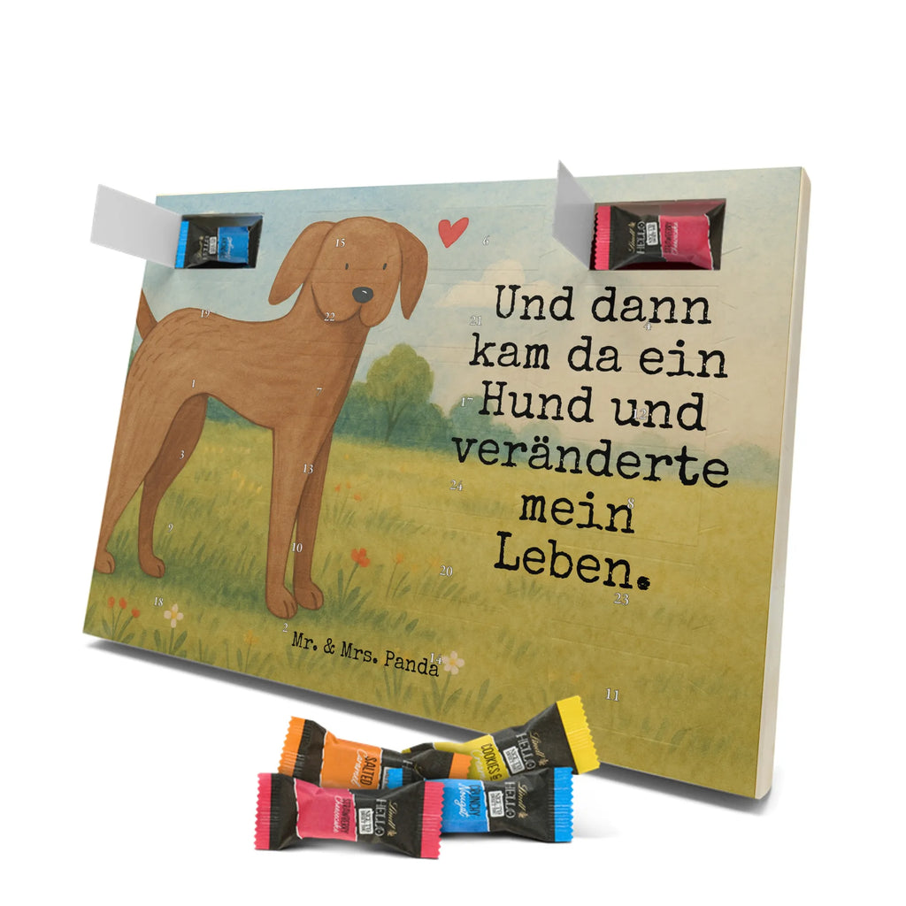 Chocolate advent calendar Dog mastiff Design dog breed, mutt, hound, woof, dog mama, love dogs, love for dogs, dog decorative items, bag with dog print, funny gifts for dog owners, what do you give a dog lover, Christmas gifts for dogs, gifts for dogs, dog sayings, Dogs
