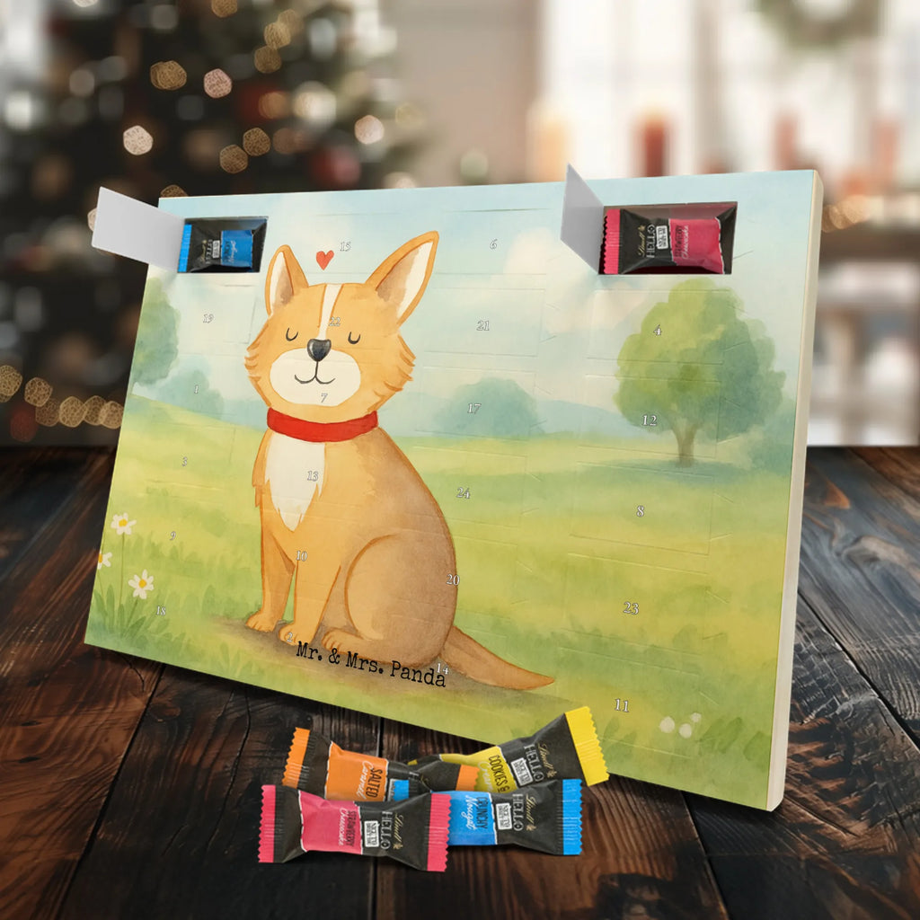 Chocolate advent calendar Dog Luck Design hound, dog sayings, gifts for dogs, Christmas gifts for dogs, what do you give a dog lover, funny gifts for dog owners, bag with dog print, dog decorative items, love for dogs, dog breed, love dogs, dog mama, mutt, woof, dog owner, dog mom, dog love