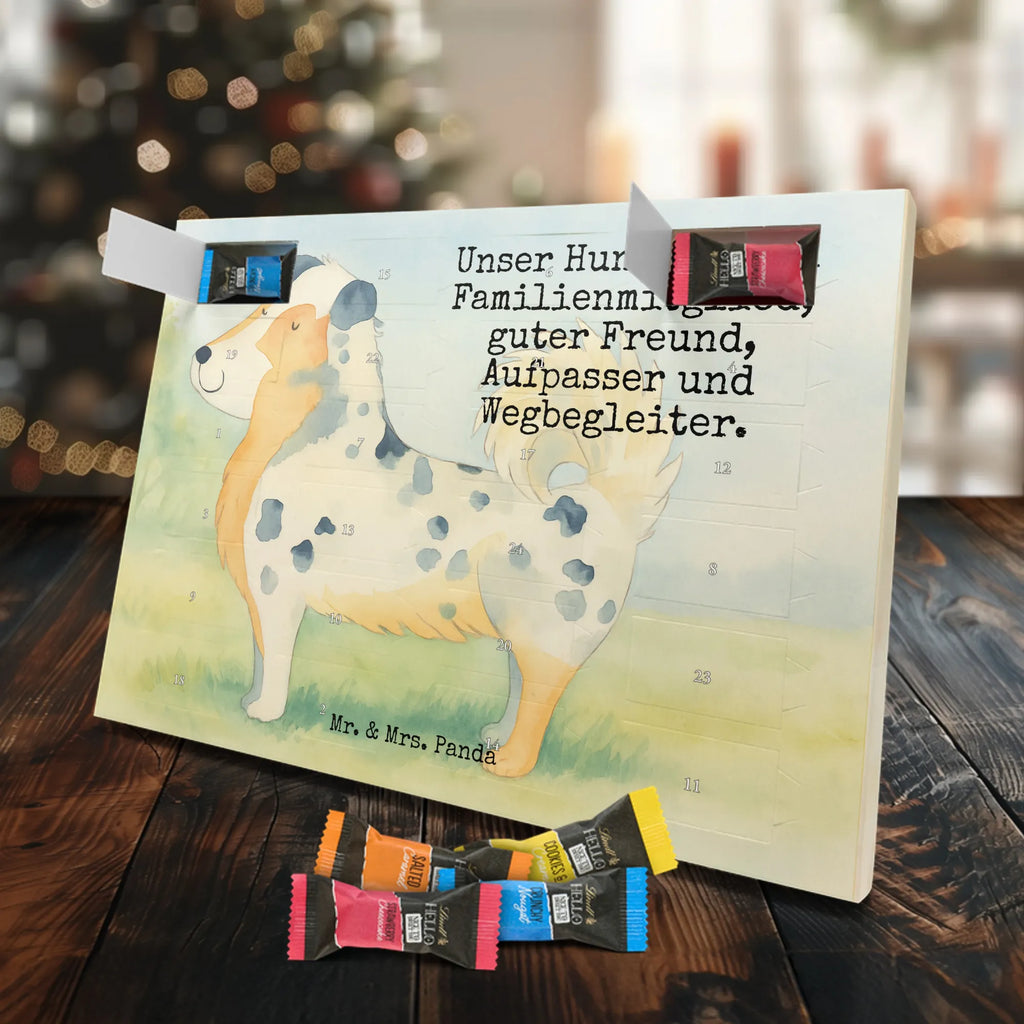 Chocolate advent calendar Dog Australia Shepherd Design hound, dog sayings, gifts for dogs, Christmas gifts for dogs, what do you give a dog lover, funny gifts for dog owners, bag with dog print, dog decorative items, love for dogs, dog breed, love dogs, dog mama, mutt, woof, Family dog, Saying, Sayings, Australia Shepherd, Dog love