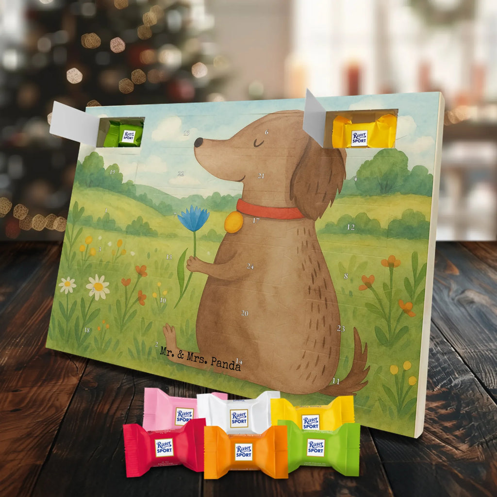 Chocolate advent calendar Dog flower Design dog breed, mutt, hound, woof, dog mama, love dogs, love for dogs, dog decorative items, bag with dog print, funny gifts for dog owners, what do you give a dog lover, Christmas gifts for dogs, gifts for dogs, dog sayings, dog lover, dogs, mistress, dog owners