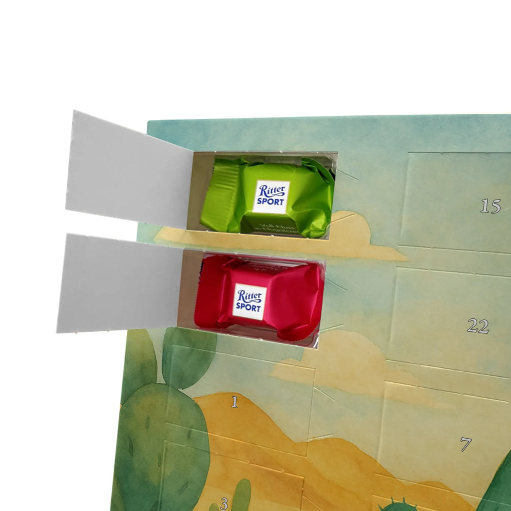 Chocolate advent calendar cactus Sun Design cactus, cactuses, plants, cactus plant, small green cactus, new start, divorce, separation, lovesickness, lovesickness gift, love cactus love, gift idea, adultery, sun, girlfriend