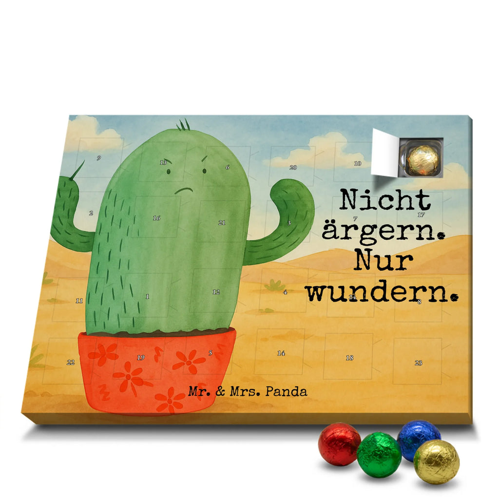 Chocolate advent calendar cactus Fury Design cactus, cactuses, plants, cactus plant, small green cactus, school, annoy, office life, colleague, angry