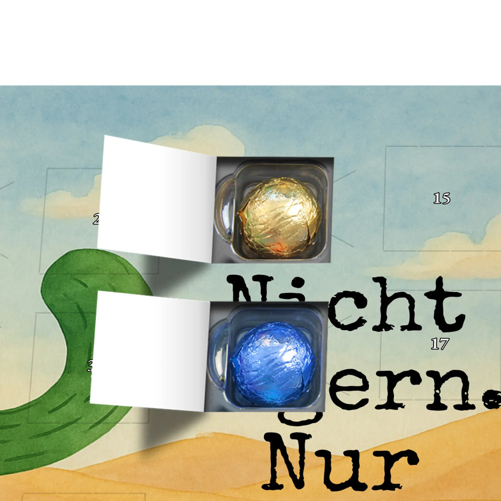 Chocolate advent calendar cactus Fury Design cactus, cactuses, plants, cactus plant, small green cactus, school, annoy, office life, colleague, angry