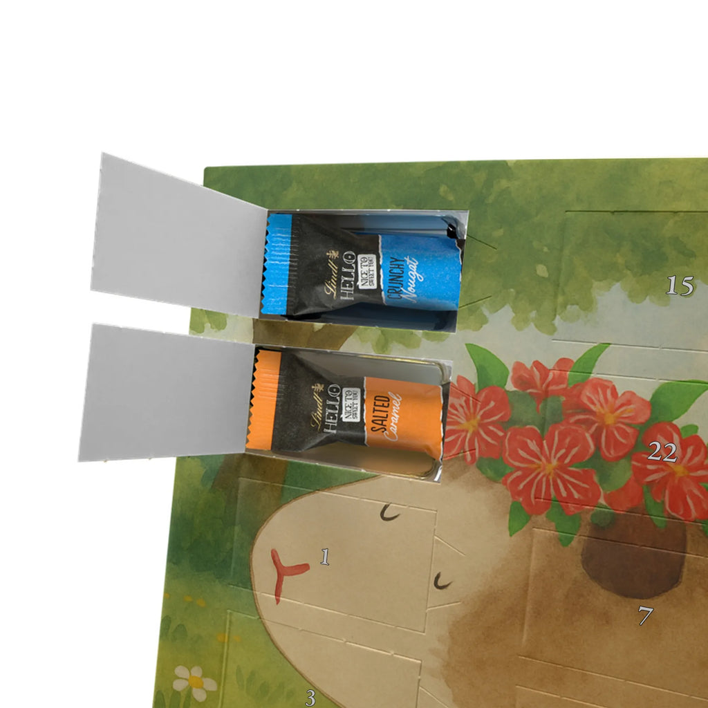 Chocolate advent calendar Guinea pig wisdom Design card, gift ideas, gifts, small animals, cute, cute animal motives, hand drawn, funny sayings, good mood, special gifts, animal lover, wonderland, saying, wisdom, reality, flower child, guinea pig, wonder