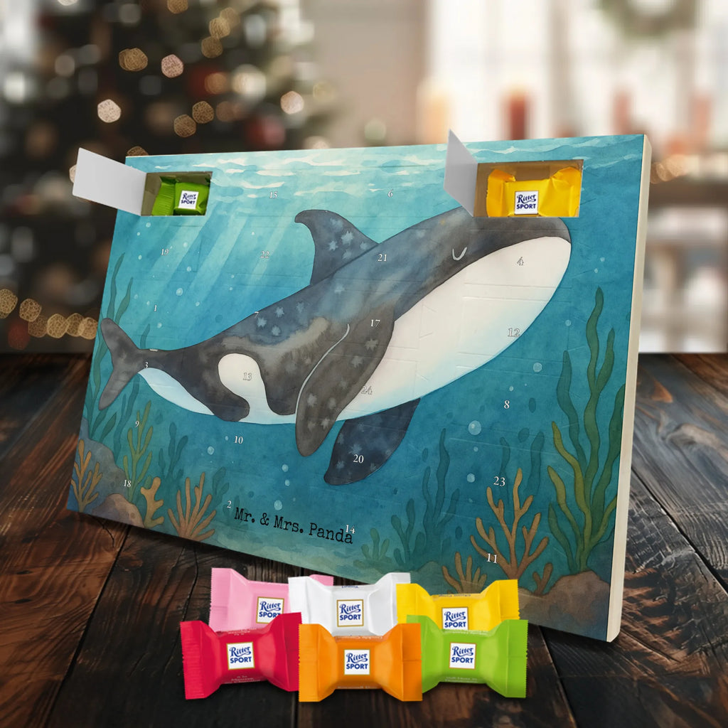 Chocolate advent calendar Orca Design gift ideas, vacation, Seafood, aquatic animals, ocean, shells, corals, reef, whale, narwhal, sea urchin, lobster, platypus, manatee, crocodile, shrimp, gifts for seafood lovers, water world, underwater animals, underwater world, deep sea, seafood fans, seafood decoration, seafood posters, killer whale, self-love, work, new start, opportunities