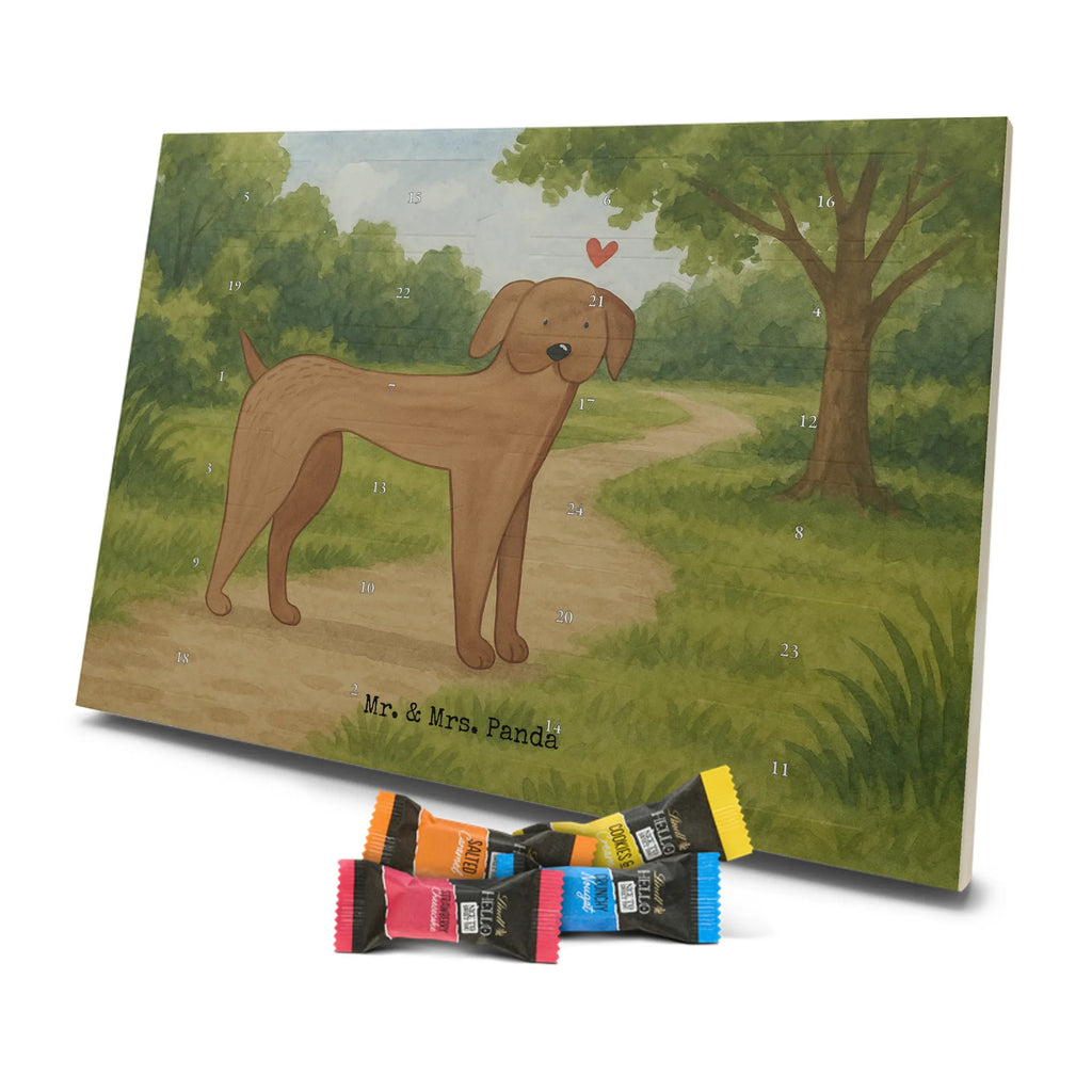 Chocolate advent calendar Dog mastiff Design dog breed, mutt, hound, woof, dog mama, love dogs, love for dogs, dog decorative items, bag with dog print, funny gifts for dog owners, what do you give a dog lover, Christmas gifts for dogs, gifts for dogs, dog sayings, Dogs