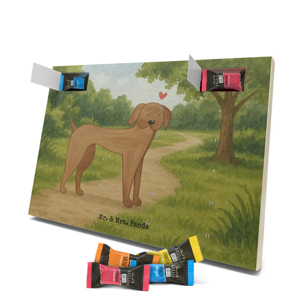 Chocolate advent calendar Dog mastiff Design dog breed, mutt, hound, woof, dog mama, love dogs, love for dogs, dog decorative items, bag with dog print, funny gifts for dog owners, what do you give a dog lover, Christmas gifts for dogs, gifts for dogs, dog sayings, Dogs