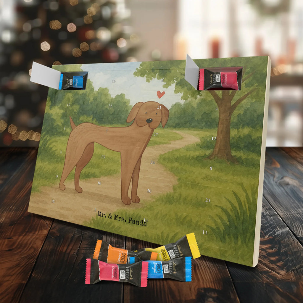 Chocolate advent calendar Dog mastiff Design dog breed, mutt, hound, woof, dog mama, love dogs, love for dogs, dog decorative items, bag with dog print, funny gifts for dog owners, what do you give a dog lover, Christmas gifts for dogs, gifts for dogs, dog sayings, Dogs