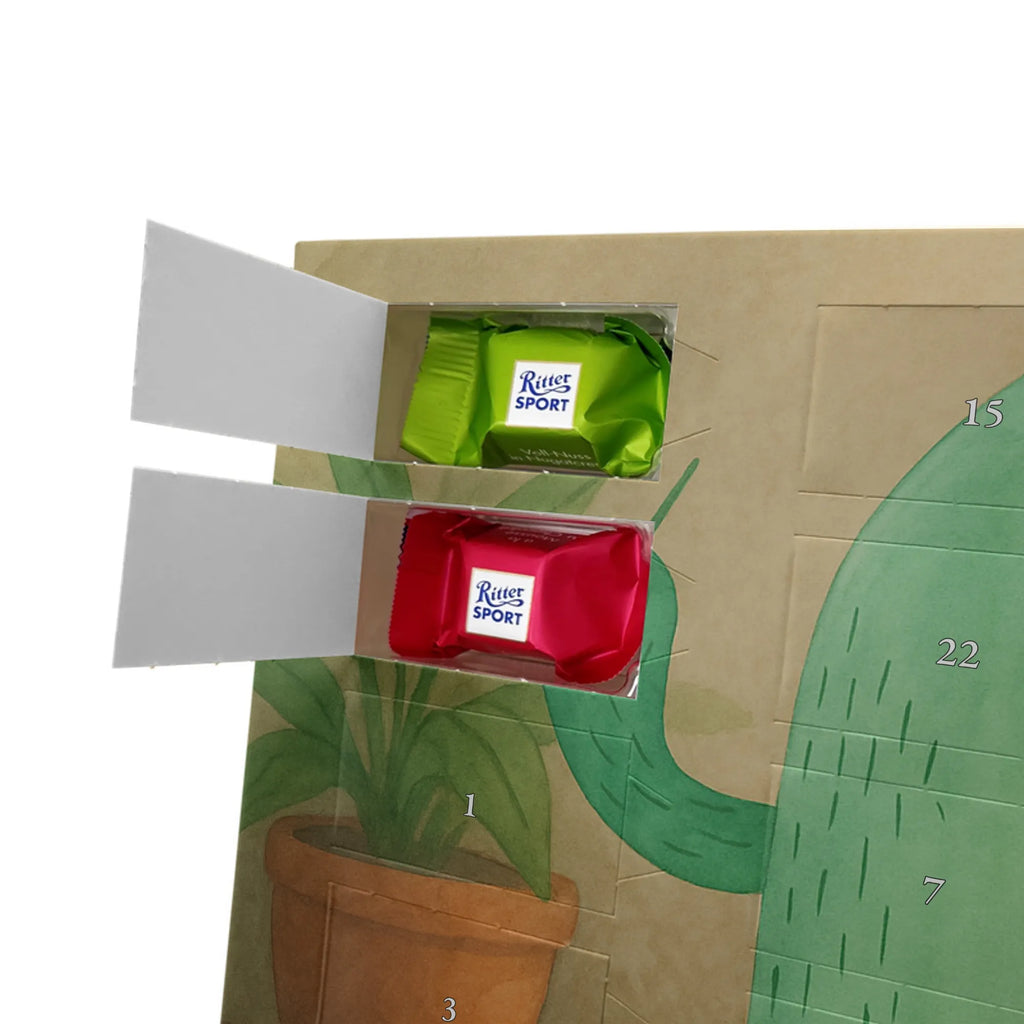 Chocolate advent calendar cactus Fury Design cactus, cactuses, plants, cactus plant, small green cactus, school, annoy, office life, colleague, angry