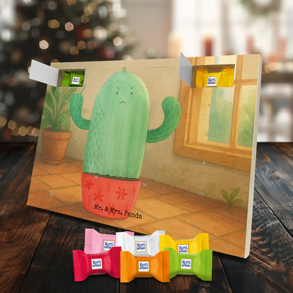 Chocolate advent calendar cactus Fury Design cactus, cactuses, plants, cactus plant, small green cactus, school, annoy, office life, colleague, angry