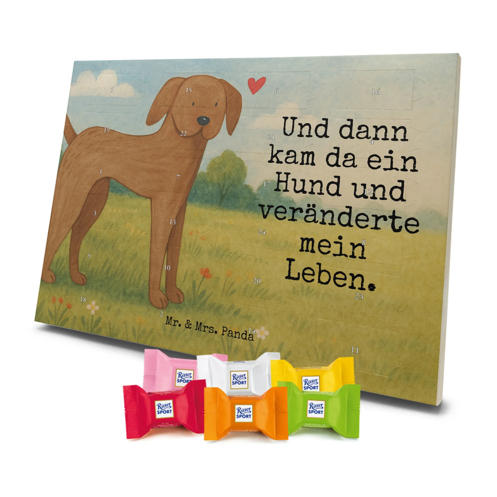 Chocolate advent calendar Dog mastiff Design dog breed, mutt, hound, woof, dog mama, love dogs, love for dogs, dog decorative items, bag with dog print, funny gifts for dog owners, what do you give a dog lover, Christmas gifts for dogs, gifts for dogs, dog sayings, Dogs