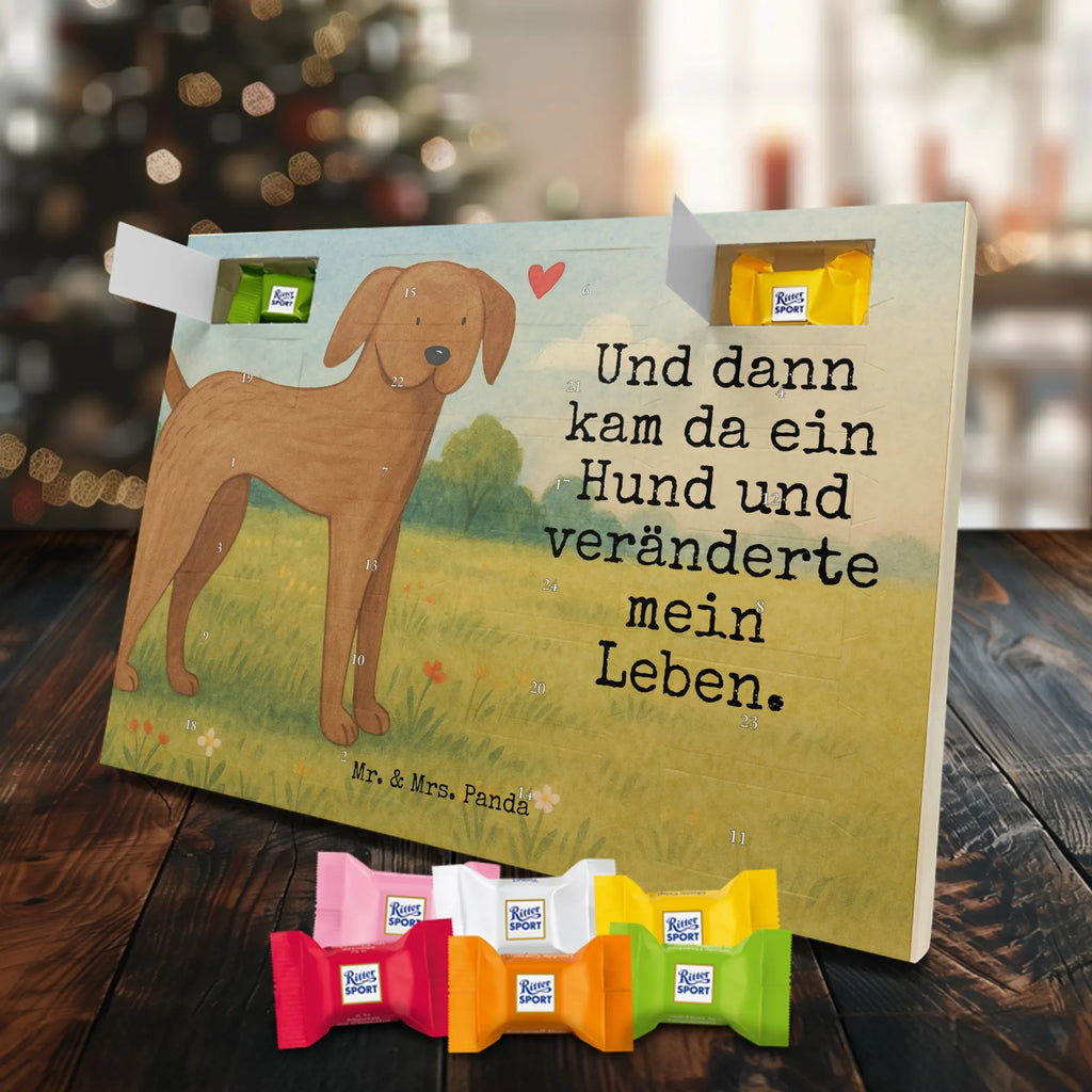 Chocolate advent calendar Dog mastiff Design dog breed, mutt, hound, woof, dog mama, love dogs, love for dogs, dog decorative items, bag with dog print, funny gifts for dog owners, what do you give a dog lover, Christmas gifts for dogs, gifts for dogs, dog sayings, Dogs