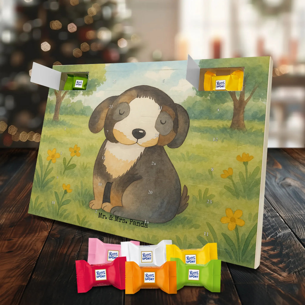 Chocolate advent calendar Dog Relax Design dog breed, mutt, hound, woof, dog mama, love dogs, love for dogs, dog decorative items, bag with dog print, funny gifts for dog owners, what do you give a dog lover, Christmas gifts for dogs, gifts for dogs, dog sayings, dog happiness, dog love, black dog