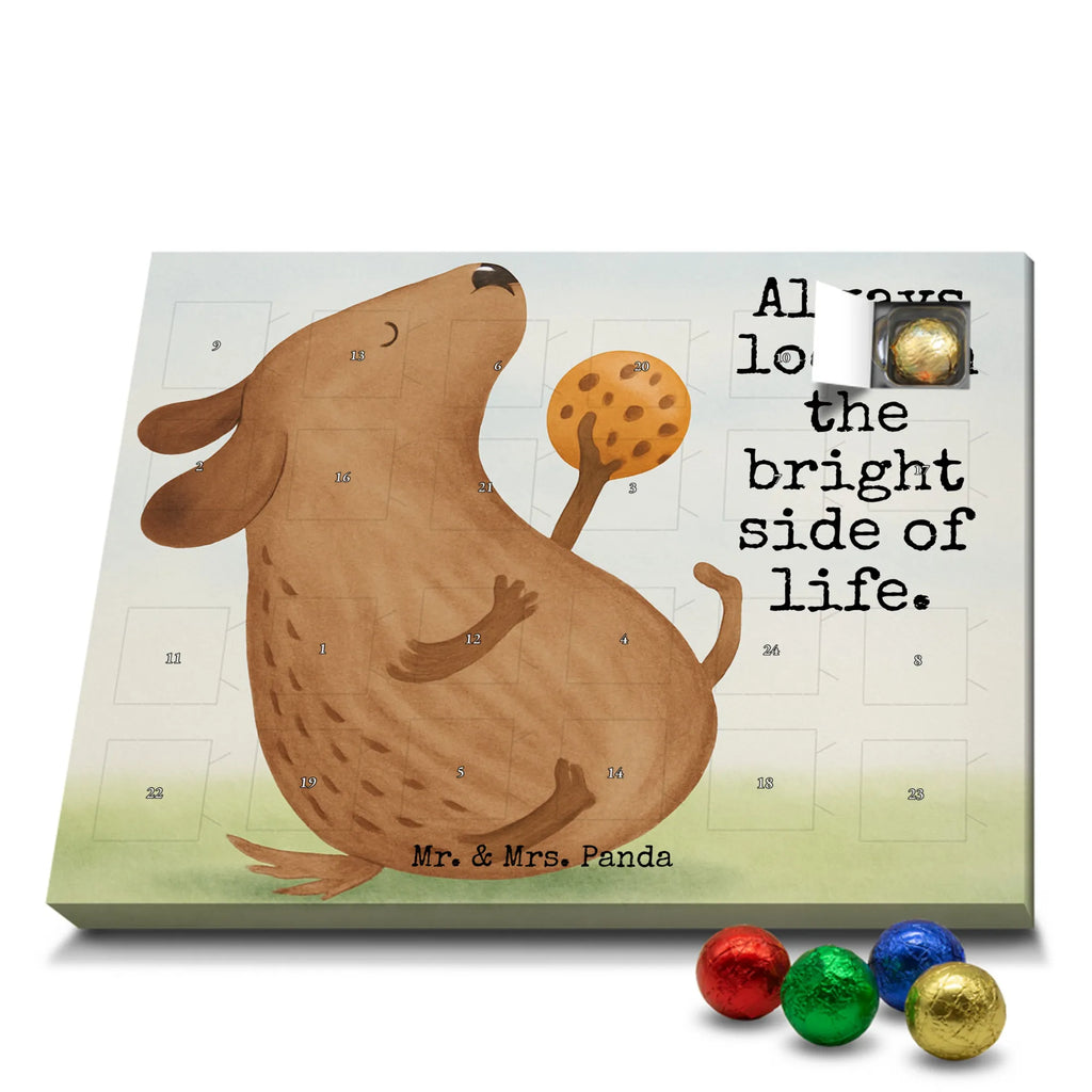 Chocolate advent calendar Dog biscuit Design dog breed, mutt, hound, woof, dog mama, love dogs, love for dogs, dog decorative items, bag with dog print, funny gifts for dog owners, what do you give a dog lover, Christmas gifts for dogs, gifts for dogs, dog sayings, treats, dog snacks, dog treats, dog biscuits