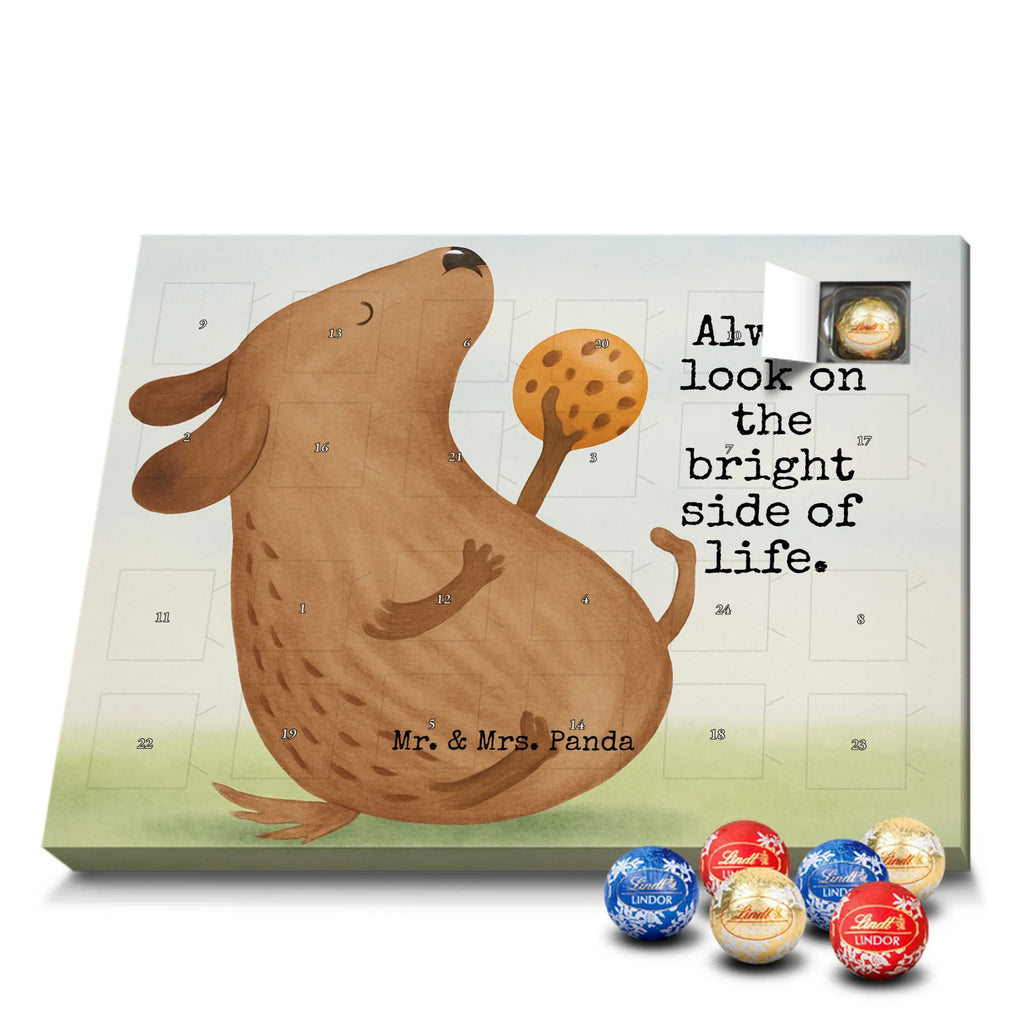 Chocolate advent calendar Dog biscuit Design dog breed, mutt, hound, woof, dog mama, love dogs, love for dogs, dog decorative items, bag with dog print, funny gifts for dog owners, what do you give a dog lover, Christmas gifts for dogs, gifts for dogs, dog sayings, treats, dog snacks, dog treats, dog biscuits