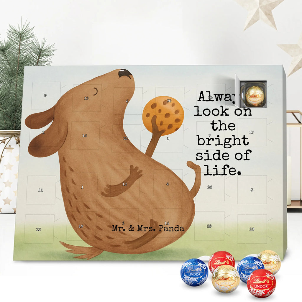 Chocolate advent calendar Dog biscuit Design dog breed, mutt, hound, woof, dog mama, love dogs, love for dogs, dog decorative items, bag with dog print, funny gifts for dog owners, what do you give a dog lover, Christmas gifts for dogs, gifts for dogs, dog sayings, treats, dog snacks, dog treats, dog biscuits