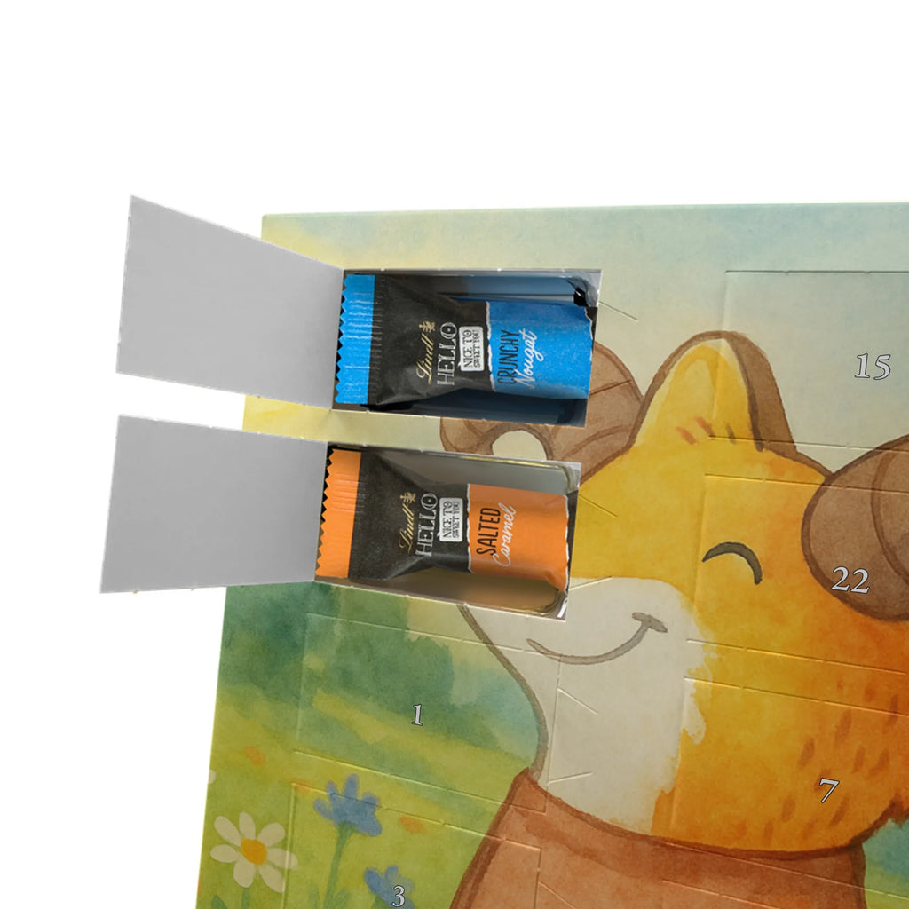 Chocolate advent calendar Aries Astrology Design constellations, birthdays, astrology, date of birth, month of birth