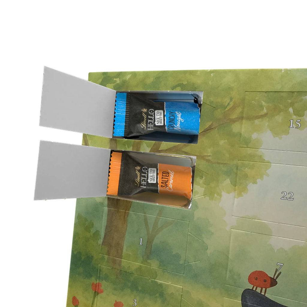 Chocolate advent calendar Penguin ladybug Design North Pole, Penguins, joy of life, ladybird, joy, wonder, penguins