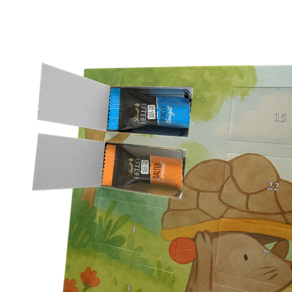 Chocolate advent calendar tortoise Mouse Design gift, gift ideas, cute, illustrated, tortoise, reptile, ancient creature, sweet, birthday gift, turtle gift items, funny turtle gifts, pet turtles, best friend, sister or daughter, turtle lover, friends, mouse, girlfriends