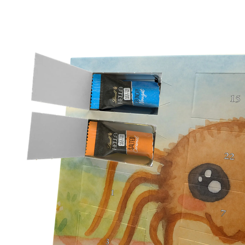 Chocolate advent calendar Spider Agathe Sandwich Design Spider Agathe, Spider