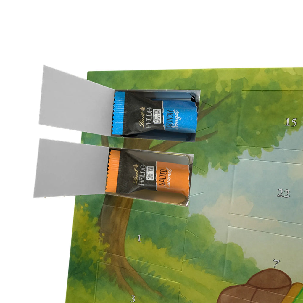 Chocolate advent calendar tortoise Pipes Design gift, gift ideas, cute, illustrated, tortoise, reptile, ancient creature, sweet, birthday gift, turtle gift items, funny turtle gifts, pet turtles, best friend, sister or daughter, turtle lover, new beginning, joy of life, separation, turtles