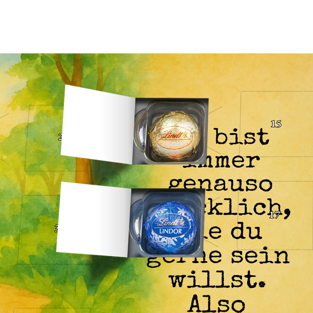 Chocolate advent calendar tortoise Pipes Design gift, gift ideas, cute, illustrated, tortoise, reptile, ancient creature, sweet, birthday gift, turtle gift items, funny turtle gifts, pet turtles, best friend, sister or daughter, turtle lover, new beginning, joy of life, separation, turtles