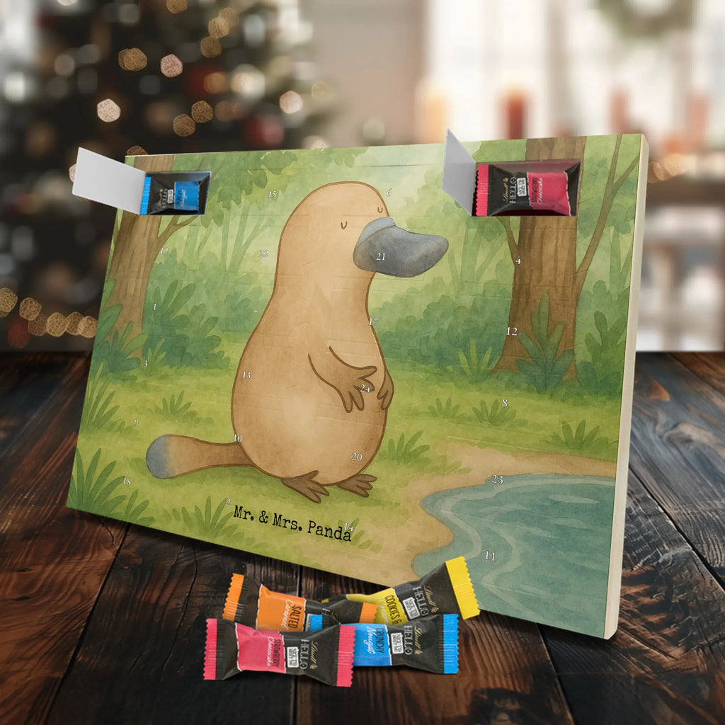 Schoko Adventskalender Schnabeltier Mut Design schokoladen kalender, schokoladenkalender, adventskalender mit süßigkeiten, Schokoladen Adventskalender, süßigkeiten kalender, adventskalender mit schokolade, Adventskalender, Weihnachtskalender Schokolade, schokokalender, pralinen adventskalender, adventskalender süßigkeiten, süßigkeiten adventskalender, schokolade adventskalender, kalender schokolade, Weihnachtskalender, weihnachtskalender schoko, Schoko Adventskalender, adventskalender mit pralinen, Adventskalender Schokolade, schoko kalender, advent kalender, schoko weihnachtskalender, adventskalender pralinen, Meerestiere, Urlaub, Meer, Arbeit, Neustart, Weltreise, Büro, mutig, Schnabeltiere, Lebensweisheit, Training, Motivation, Neuanfang, Raodtrip, Schnabeltier, Mut