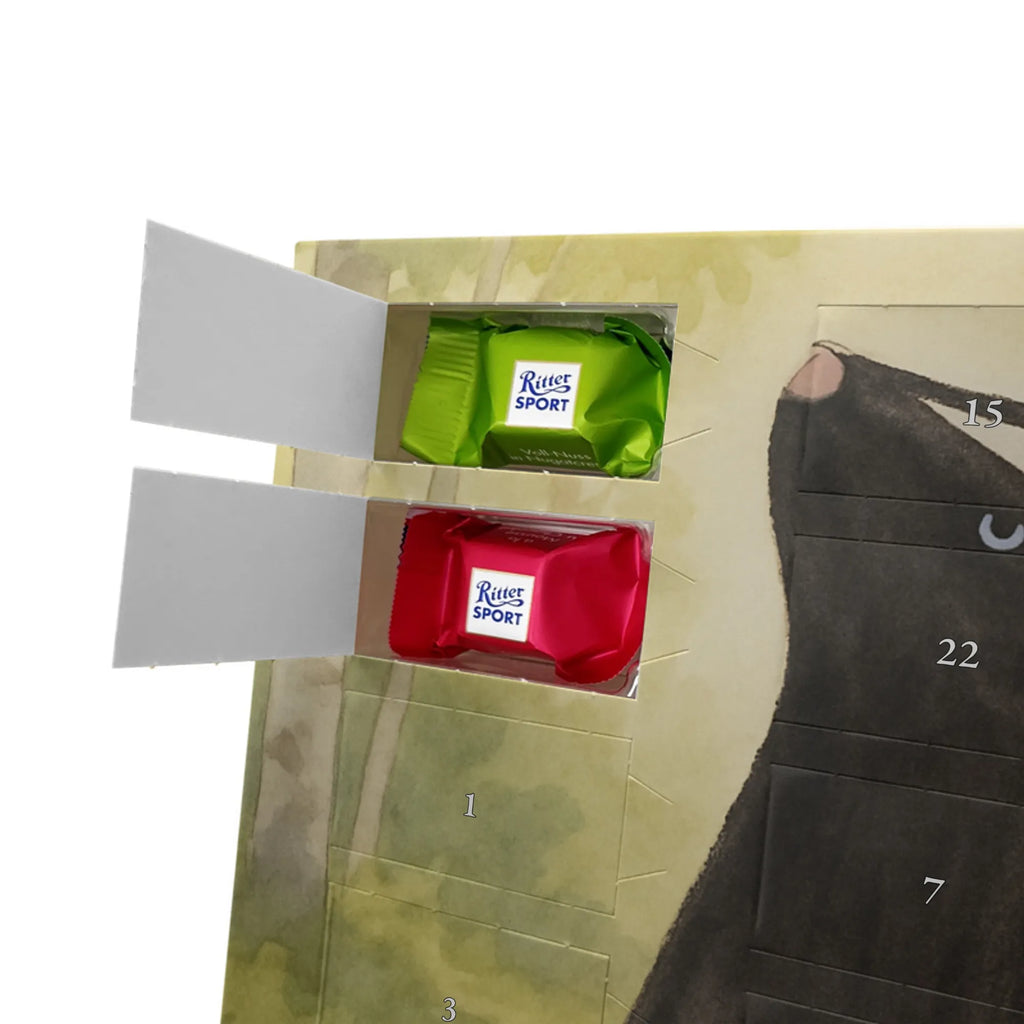 Chocolate advent calendar skunk Sit Design know-it-all, stinky, law, predator, wild animal