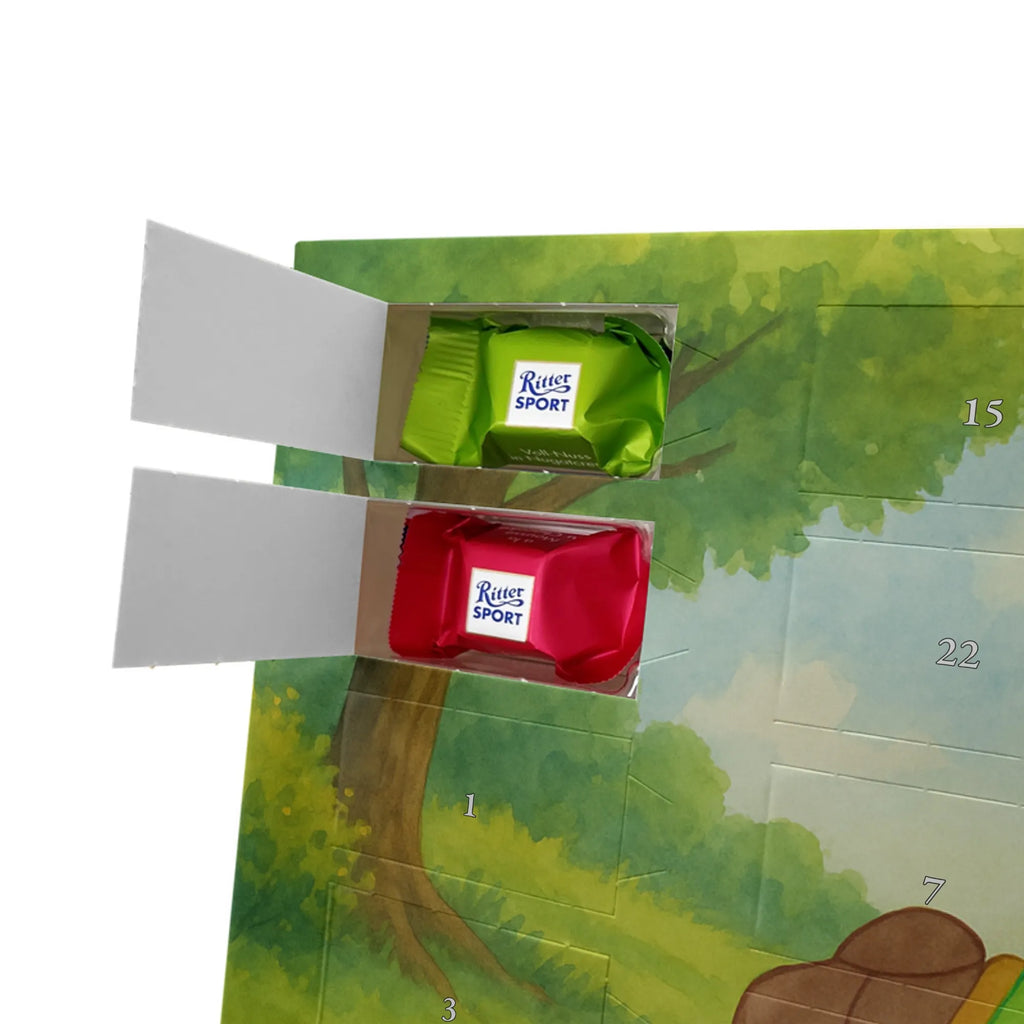 Chocolate advent calendar tortoise Pipes Design gift, gift ideas, cute, illustrated, tortoise, reptile, ancient creature, sweet, birthday gift, turtle gift items, funny turtle gifts, pet turtles, best friend, sister or daughter, turtle lover, new beginning, joy of life, separation, turtles